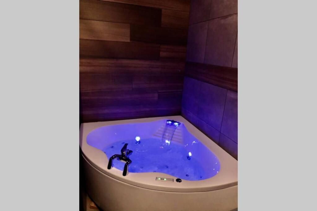 Studio Cocooning Spa, Lit Xxl, Cour Exterieure Le Puy-en-Velay Dış mekan fotoğraf